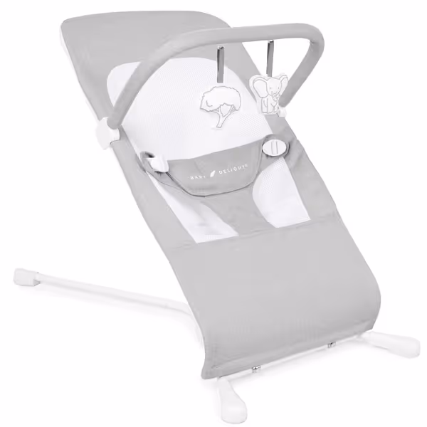 Baby Delight Highland Baby Bouncer